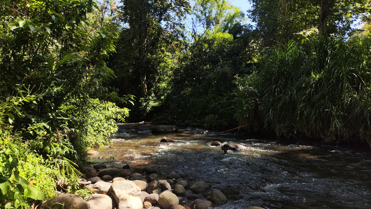 El río Pixquiac: El chapuzón que procrastino siempre.